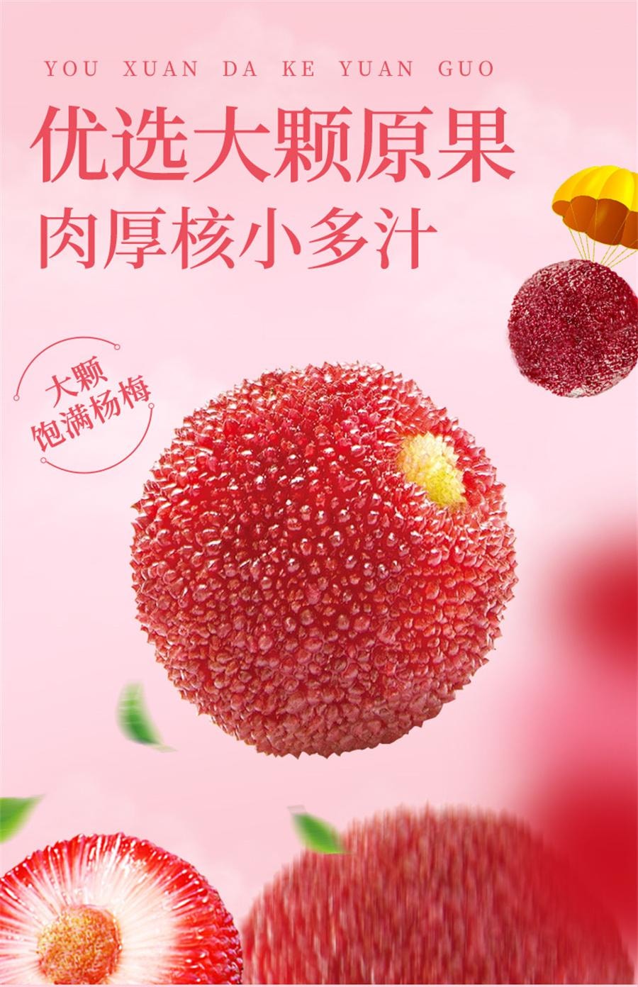 【中国直邮】 农夫山庄 九制杨梅 干果脯陈皮杨梅新鲜酸零食蜜饯梅子162g/袋