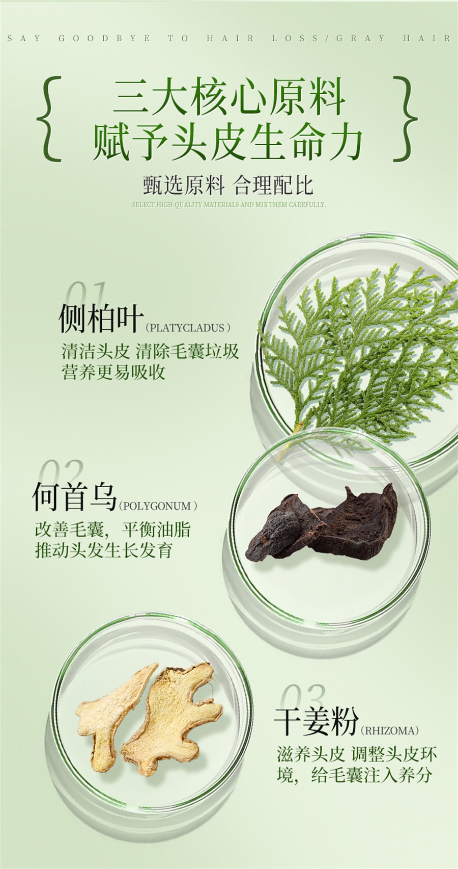 【中國直郵】南京同仁堂 草本洗髮粉側柏葉何首烏中藥洗髮粉草本植物生薑洗頭粉養髮護髮 180g