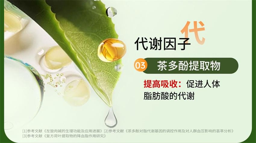 【中国直邮】巧膳臣 茶多酚荷叶胶囊 大肚腩神器暴饮暴食懒人掉秤阻脂 0.4g*36粒/盒【推荐拍5盒】