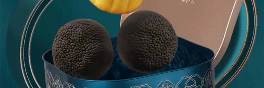 广州酒家 黑松露流心月饼礼盒 10枚入 500g 【黑松露流心*5+黑松露流心奶黄*5】【短保效期特别促销 介意慎拍】