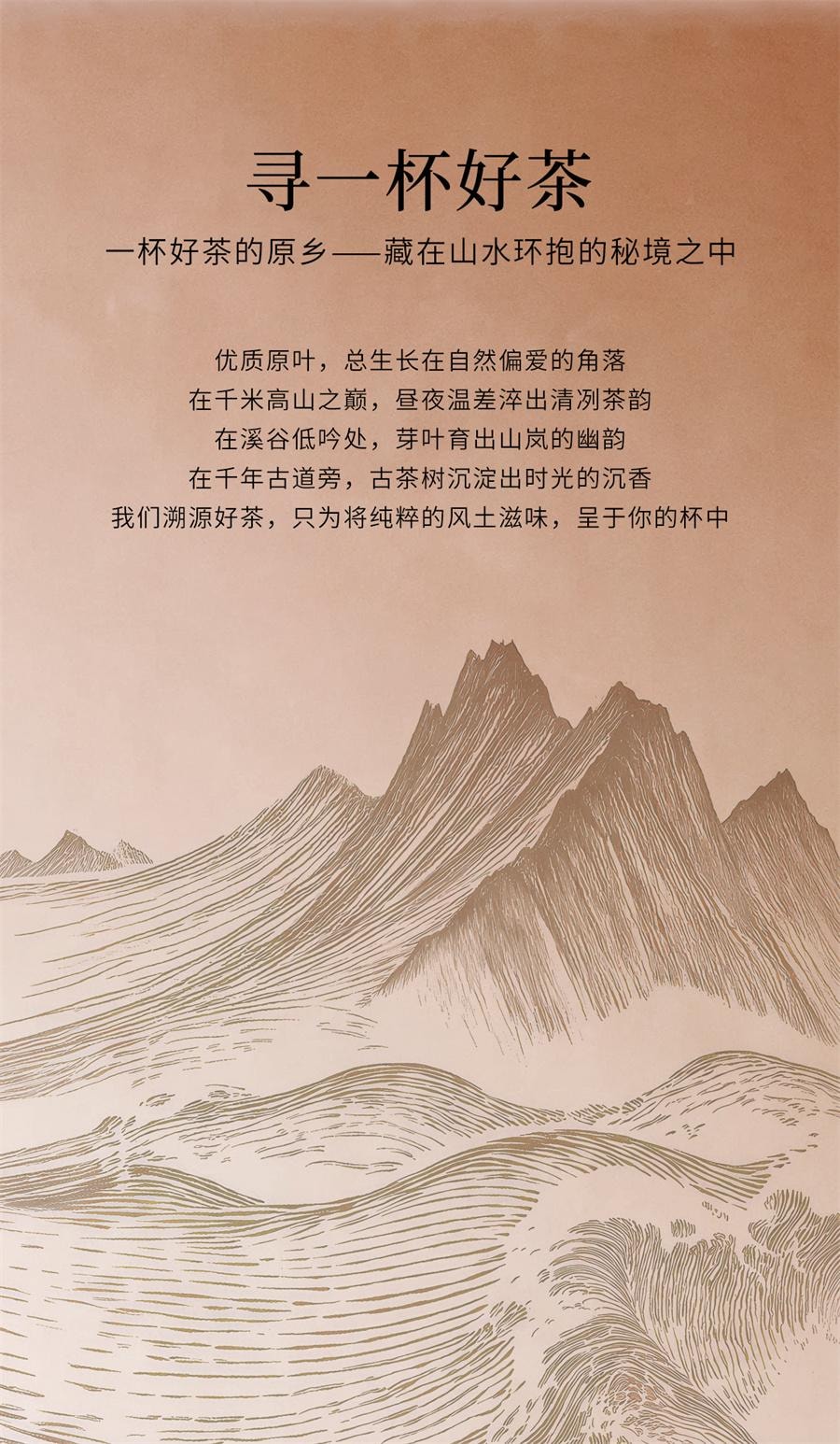 【中国直邮】 霸王茶姬 醒时春山 龙井绿茶原叶袋泡茶(随行装)3g*8袋