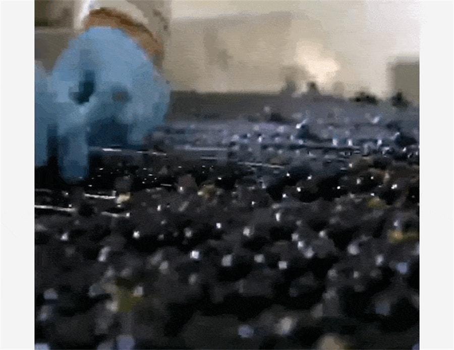 【中国直邮】巴西 SOACAI 莓粉花青素纯莓果粉超级食物粉酸奶碗配料 100g/罐