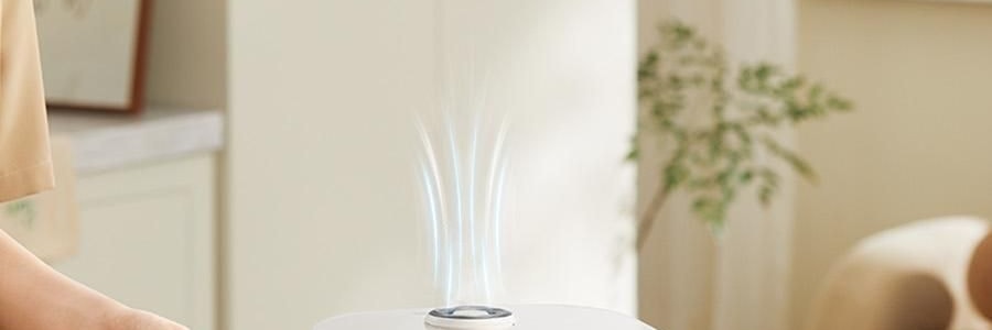 【亚米独家】BEAR小熊 铁釜电饭煲3L  防溢易清洁 微压烹饪 0 氟健康不粘煮饭锅 RC-5L30A19