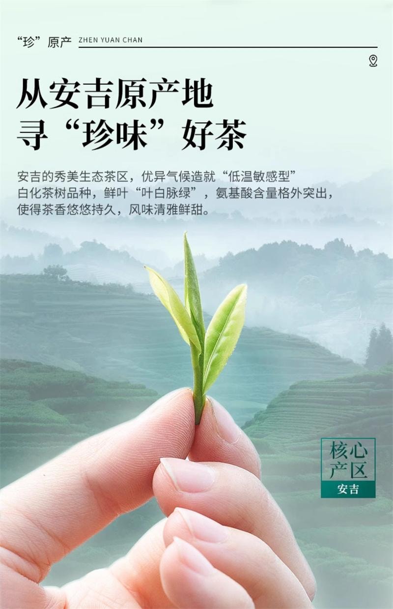 【中国直邮】 狮峰茶叶 安吉珍鲜白茶2025新茶上市明前特级绿茶叶独立小包装袋泡茶 30包