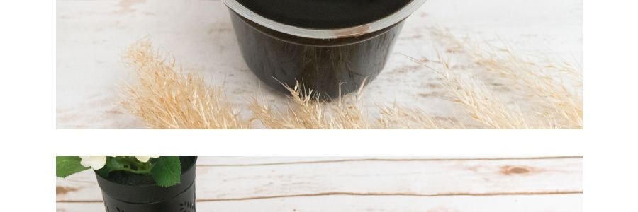 香港美味棧 參蜜龜苓膏 3杯裝 660g