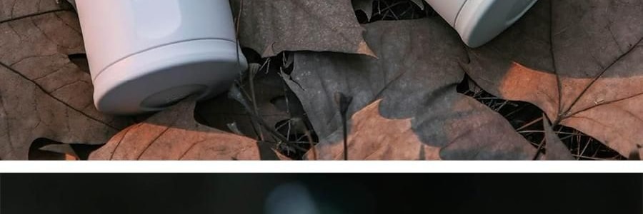 BUYDEEM北鼎 OUTIN联名咖啡机 快速加热 轻盈便携式浓缩咖啡机 OTEM-01 浅衫绿