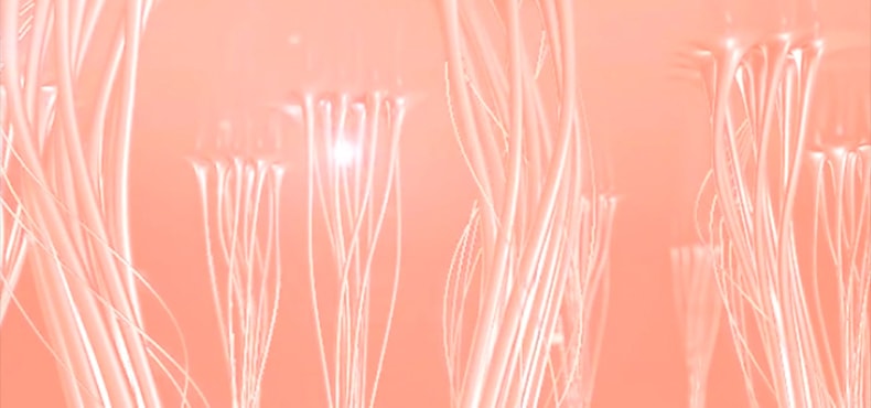 【日本直邮】MISS.ARRIVO最新版宙斯幻影24K金美容仪 提拉紧致宙斯脸部家用导入仪器 玫瑰金