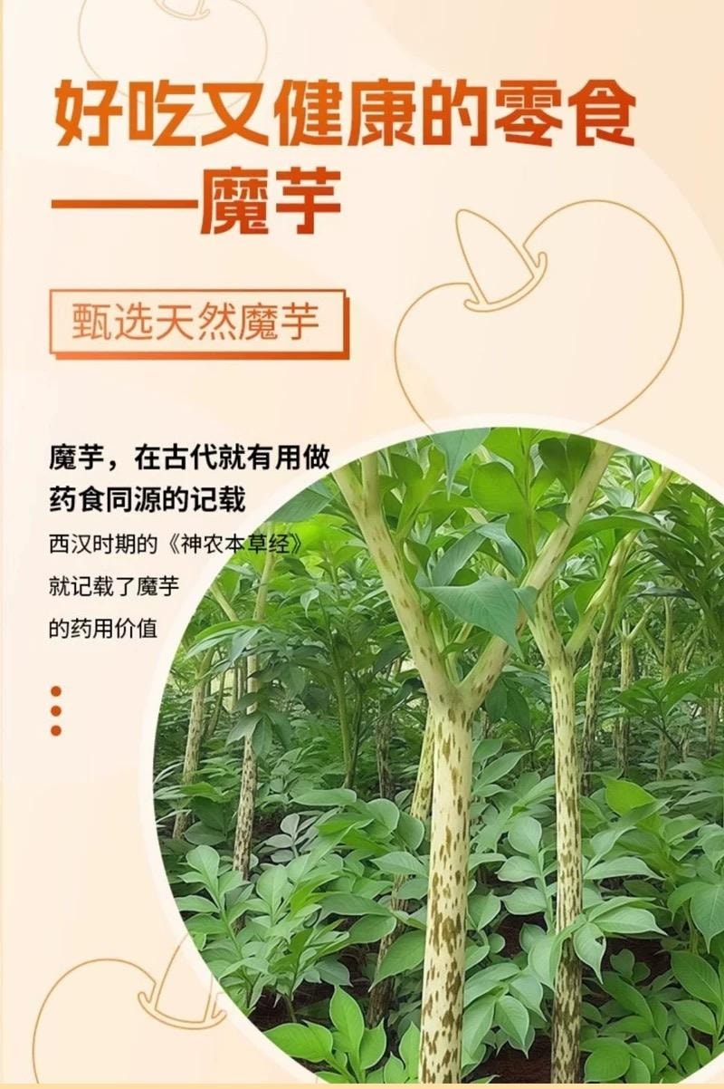 【中國直郵】 鹽津鋪子 麻醬素毛肚 蒟蒻素毛肚70g