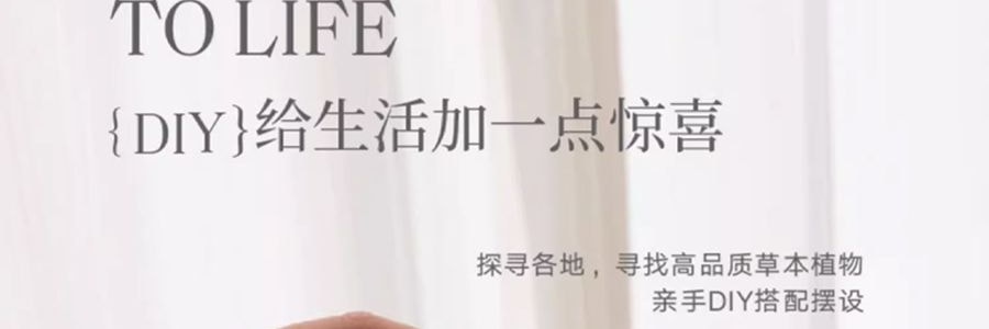 宋朝 四季闲庭系列扩香石摆件 送礼好物 高级香氛 晶韵檀香·檀香木质调 容器*1 扩香石*1袋 精油*2 干花*1包