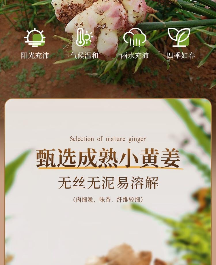 【中国直邮】 吉得利 生姜粉100g 袋装 羊杂汤鸡汤鲫鱼汤煲汤去腥提鲜调味粉料