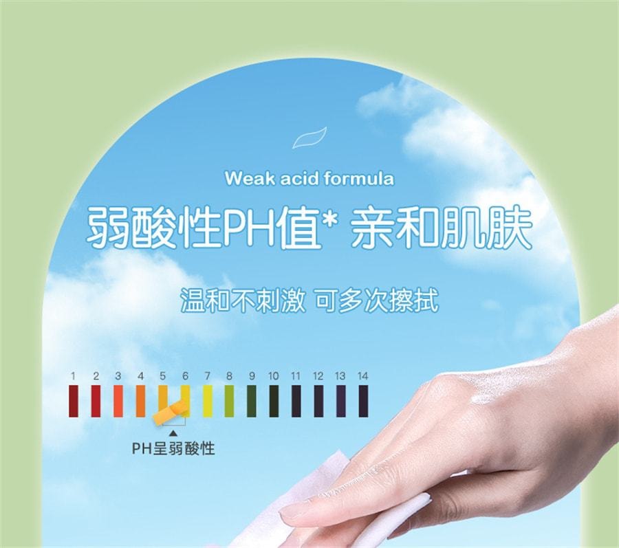 中國 婦炎潔 私處衛生濕巾女性潔陰私護濕廁紙清潔殺菌消毒房事後濕紙巾 18片/盒