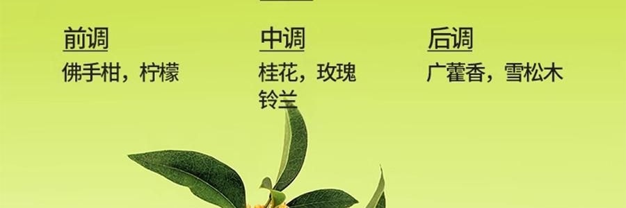 小仓熊 室内持久空气清新剂 晶珠香氛香薰 卫生间香氛 栀子与清茶