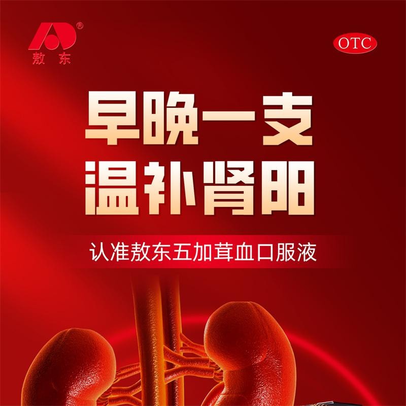 【中国直邮】 敖东 五加茸血口服液10ml*12支/盒 益气养血补肾壮阳强筋健骨气血不足肾虚