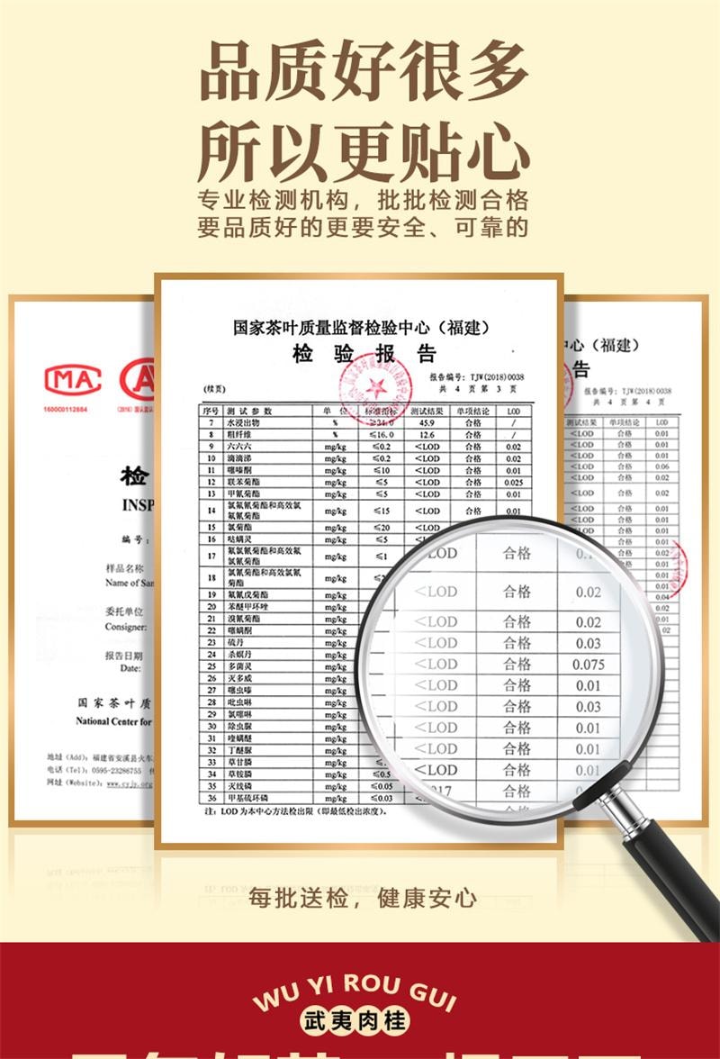 【中國直郵】 真尚一飲 肉桂大紅袍茶葉烏龍茶正宗武夷岩茶散茶罐裝禮盒 250g