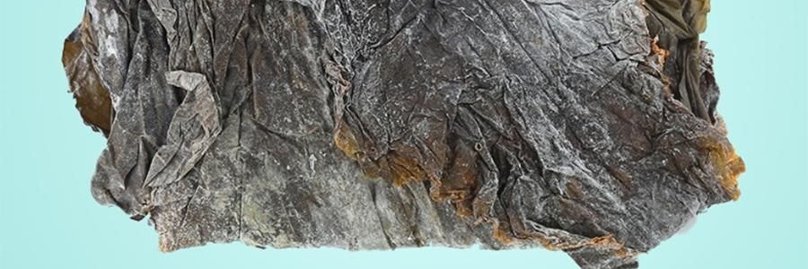 時樸 有機海帶 500g【煲湯火鍋食材】