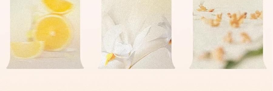 宋朝 宋遇東坡系列香包 刺繡香包臥室香氛衣櫃香掛桂花香袋 蘇遼赴桂