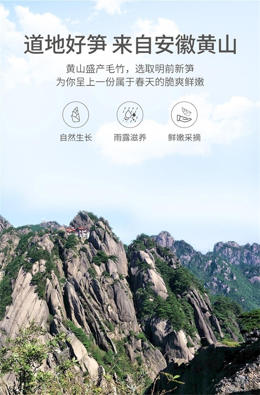 【中國直郵】 方家鋪子 黃山筍乾 冬筍春筍嫩筍竹筍乾貨農家小菜中華老字號200g/袋