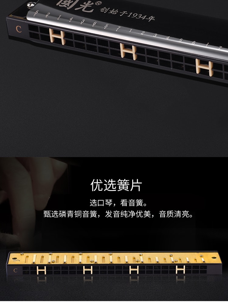 【中國直郵】國光 口琴24孔複音C調初學者入門 星空銀