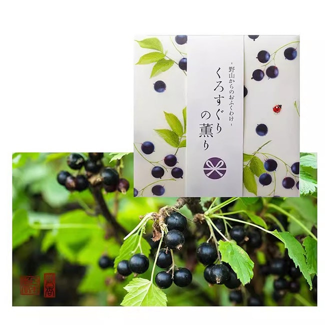 【日本直郵】日本香堂 野山的饋贈家用室內薰香線香 黑加侖 12支