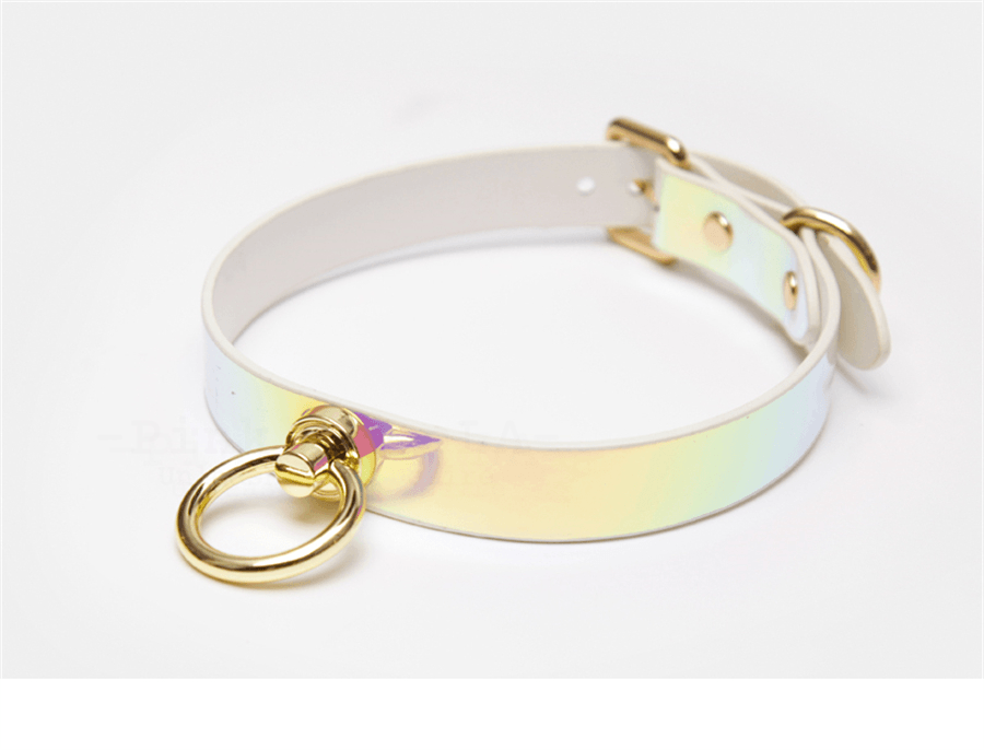 BDSM Iridescent Professional Training Bondage Set with Lead Chain and Paddle