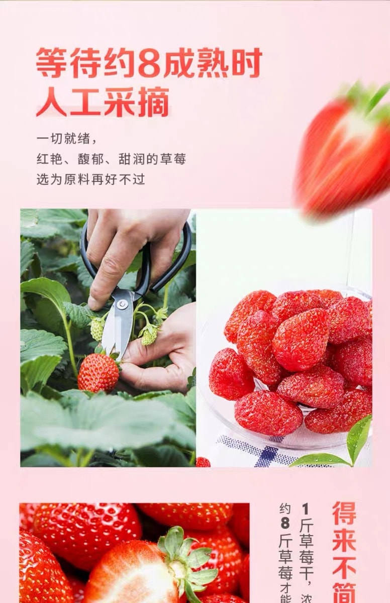 [中国直邮]百草味 BE&CHEERY 草莓干 100g*1包