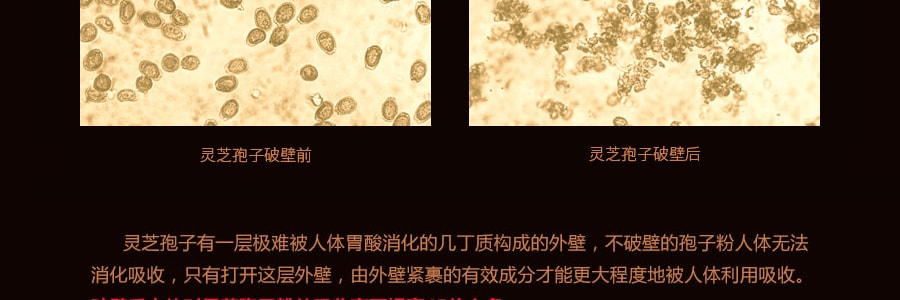 中科 赤灵芝破壁孢子粉胶囊 100粒 辅助抑制肿瘤 免疫调节
