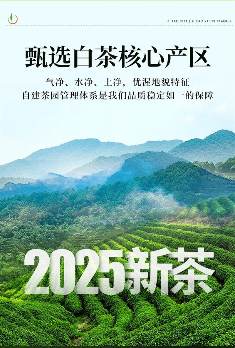 【中国直邮】一杯香  2025新茶白茶一杯香明前安吉绿茶茶叶  100g*2罐