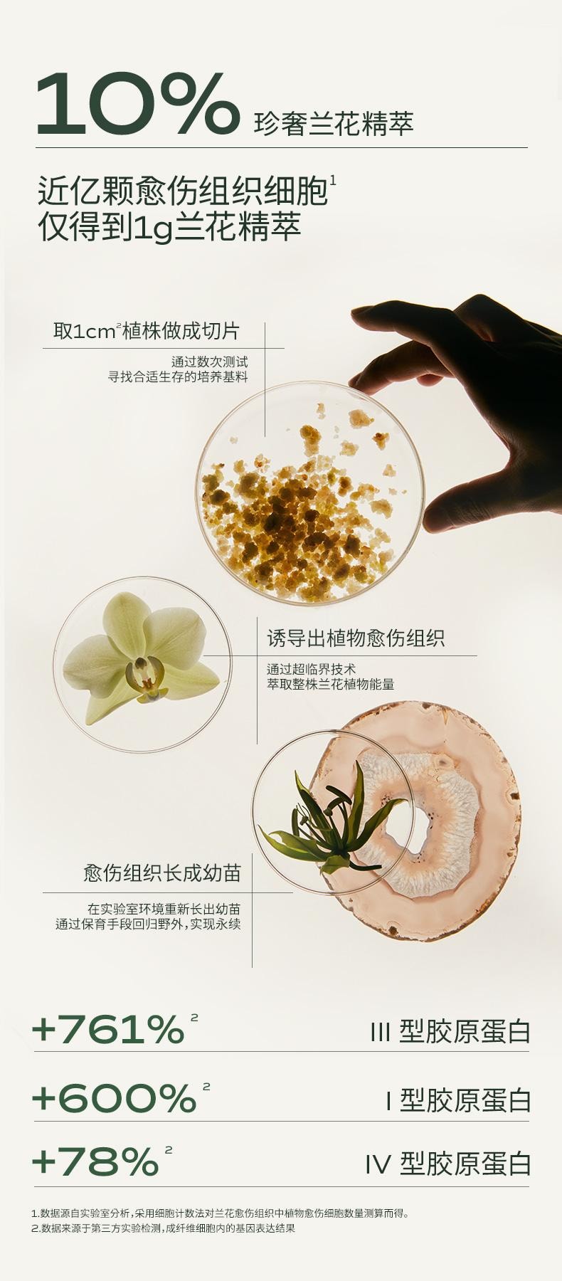 LAN 兰 时光兰花精华油 臻妍精粹油 3.0 15ml 修护抗皱 保湿提亮 淡纹强韧抗氧 干皮一夜嫩透亮【秦岚同款】