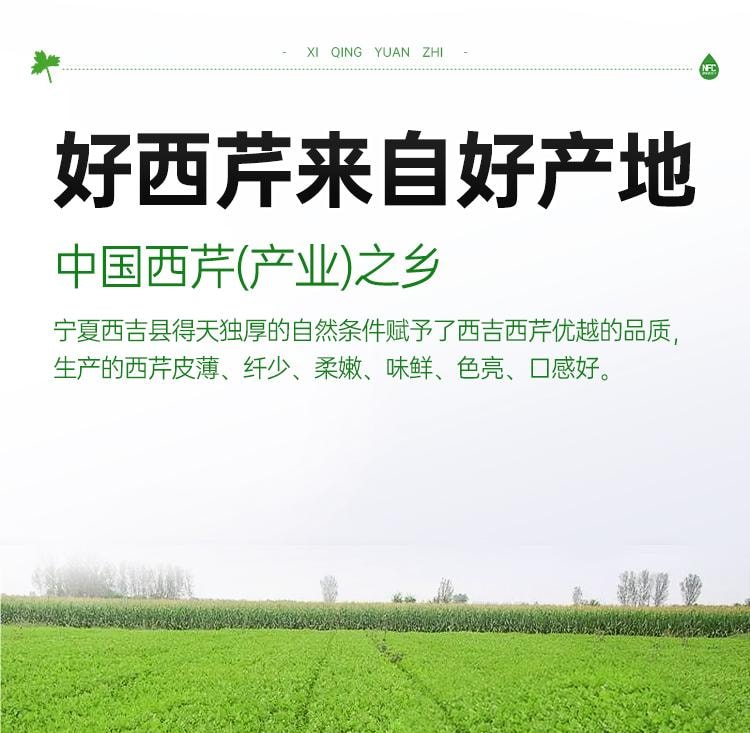【中国直邮】 舒元康 西芹汁50ml*12袋原浆果蔬芹菜汁低卡NFC鲜榨果汁无糖轻断食饮料液体沙拉0脂