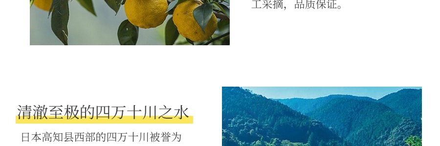 日本DAILY AROMA YUZU 高知縣產 有機柚子精油潤唇膏 7g