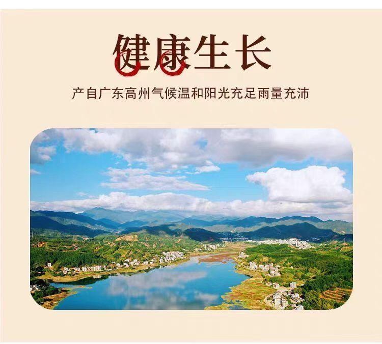 Sweet and sour tamarind slices 130g*1 bag