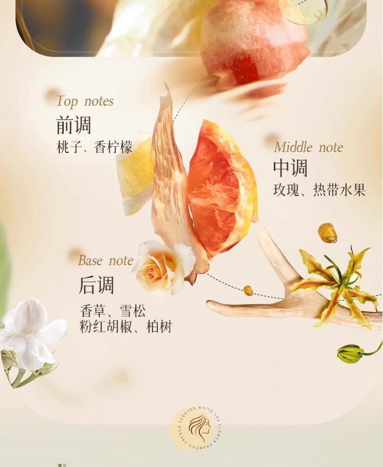 【告别枯草发 顺滑不卡梳】魔立柔 果油丝滑柔顺洗发乳大瓶800ML 头发顺滑不毛躁 柔顺亮泽 花萃持久留香72小时洗发水