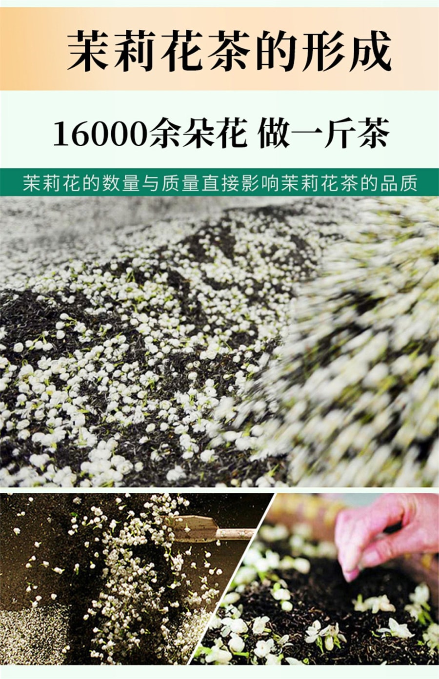 【中国直邮】一杯香   2023新茶茉莉花茶横县花草茶绿茶茶叶  250g/罐