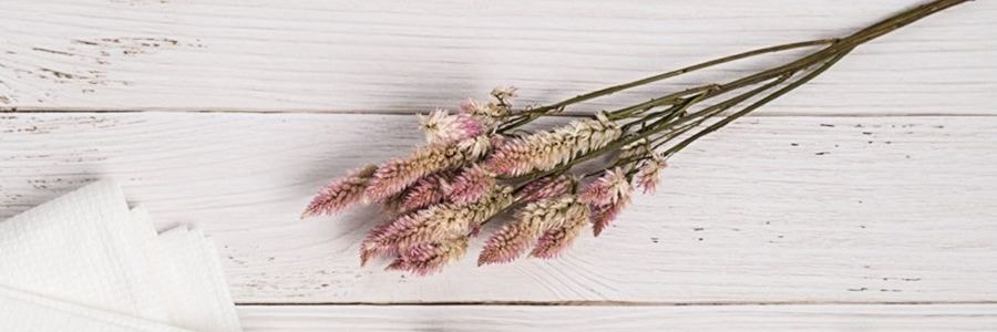 Original Seasons 輕奢綿柔拋棄式 旅行浴巾毛巾套組 3件入, 浴巾x1 毛巾x2, 孕婦嬰兒適用【旅行必備】