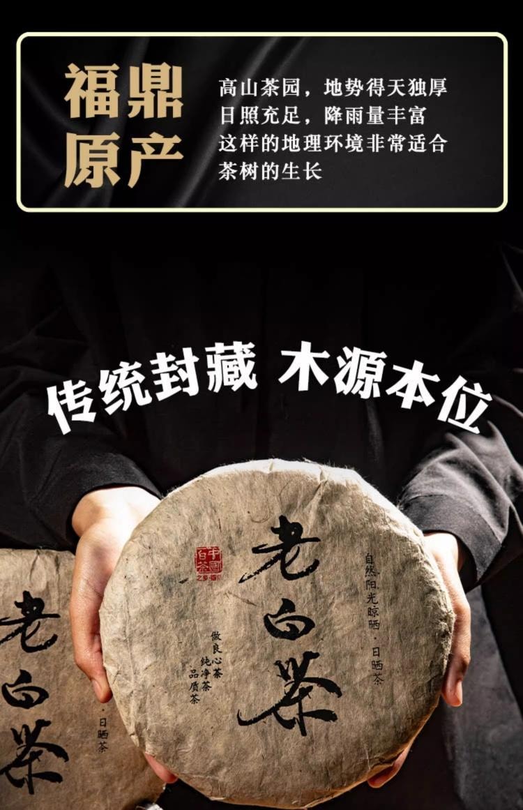 新品 中国 高級 福鼎白茶 玉佛寺 2017年 縁起物