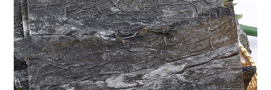 金海林 寬葉海帶 150g