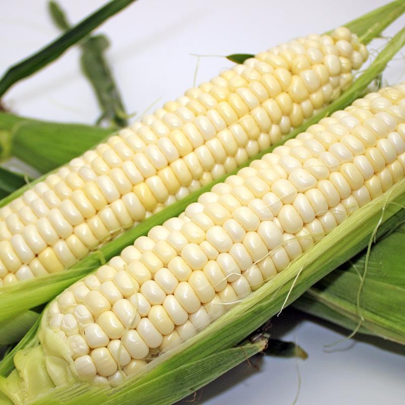 四季农场 玉米 (三个)