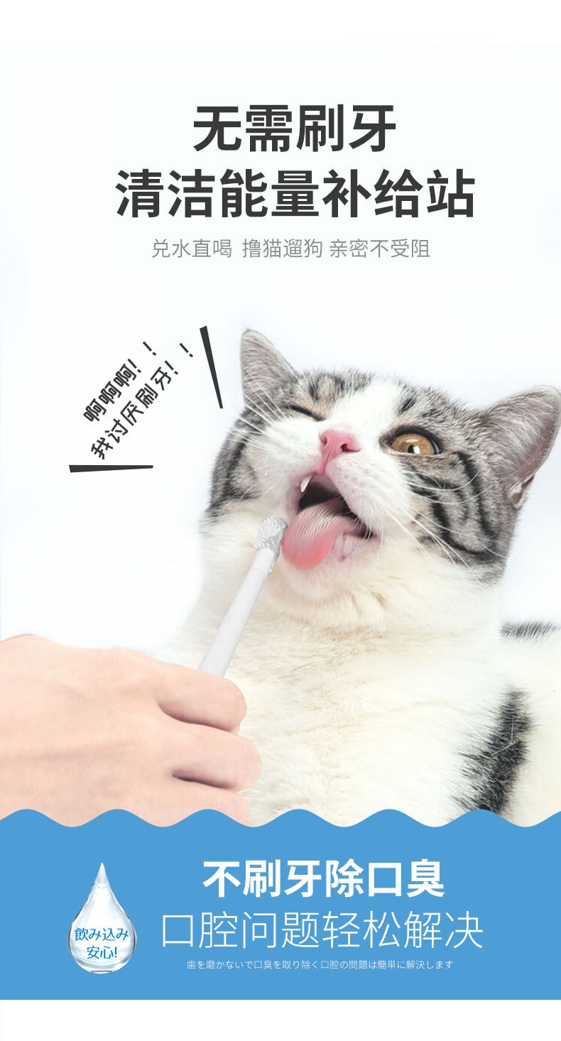 日本 HiiiGet- KOJIMA寵醫百年品牌 貓咪漱口水 24條 寵物潔齒水 貓用緩解口臭 可食用
