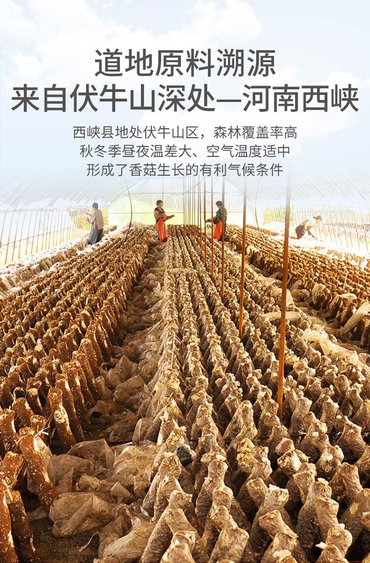 【中國直郵】 方家鋪子 六星大香菇 厚乾香菇柄短 蘑菇煲湯食材 138g