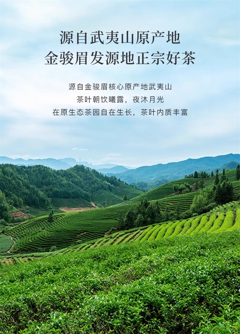 【中国直邮】 八马茶业 武夷山 金骏眉 红茶 特级红茶 自己喝的茶80g