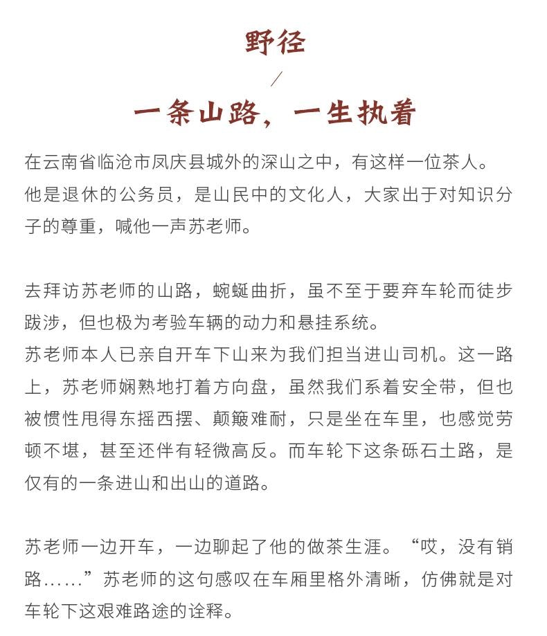 小师姐评茶 野径芳华 云南荒野白茶 2300米超高海拔茶园茶叶 传统工艺 30克