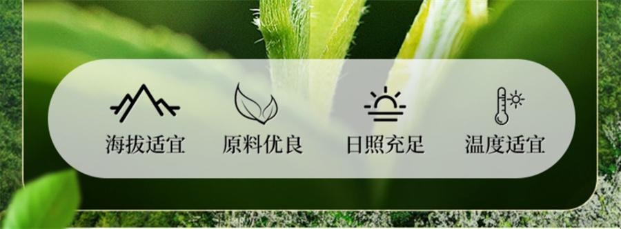 【中国直邮】 一杯香 明前碧螺春茶叶绿茶春茶自己喝新茶浓香  250g/罐