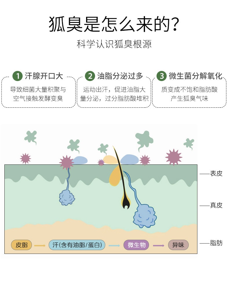 【中國直郵】德德維芙 腋狐臭淨腋下噴霧根持久香體露 30ml/瓶