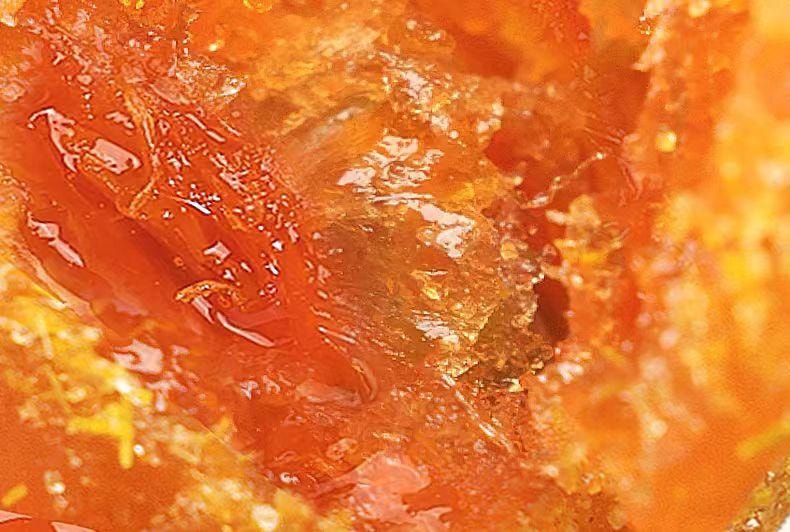【中國直郵】 春江月 甘草金桔 健康蜜餞果脯 廣西特產 500g*1 罐
