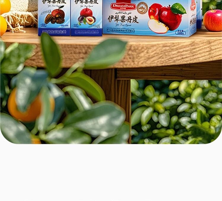 【中国直邮】 蜀风雅香 诗梦园 椰枣 果丹皮 新疆传统 休闲零食 200g