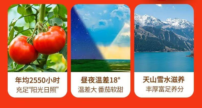 健康其他 七个番茄一锅汤新疆番茄火锅底料浓汁汤不辣酸甜50g*2