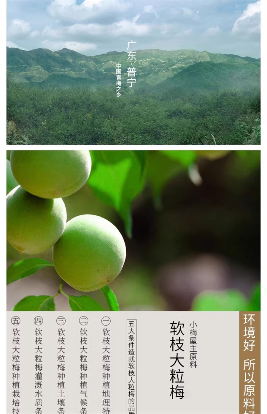 【中國直郵】小梅屋 蜂蜜味梅餅 酸甜軟糯美味清香網紅蜜餞118g/袋