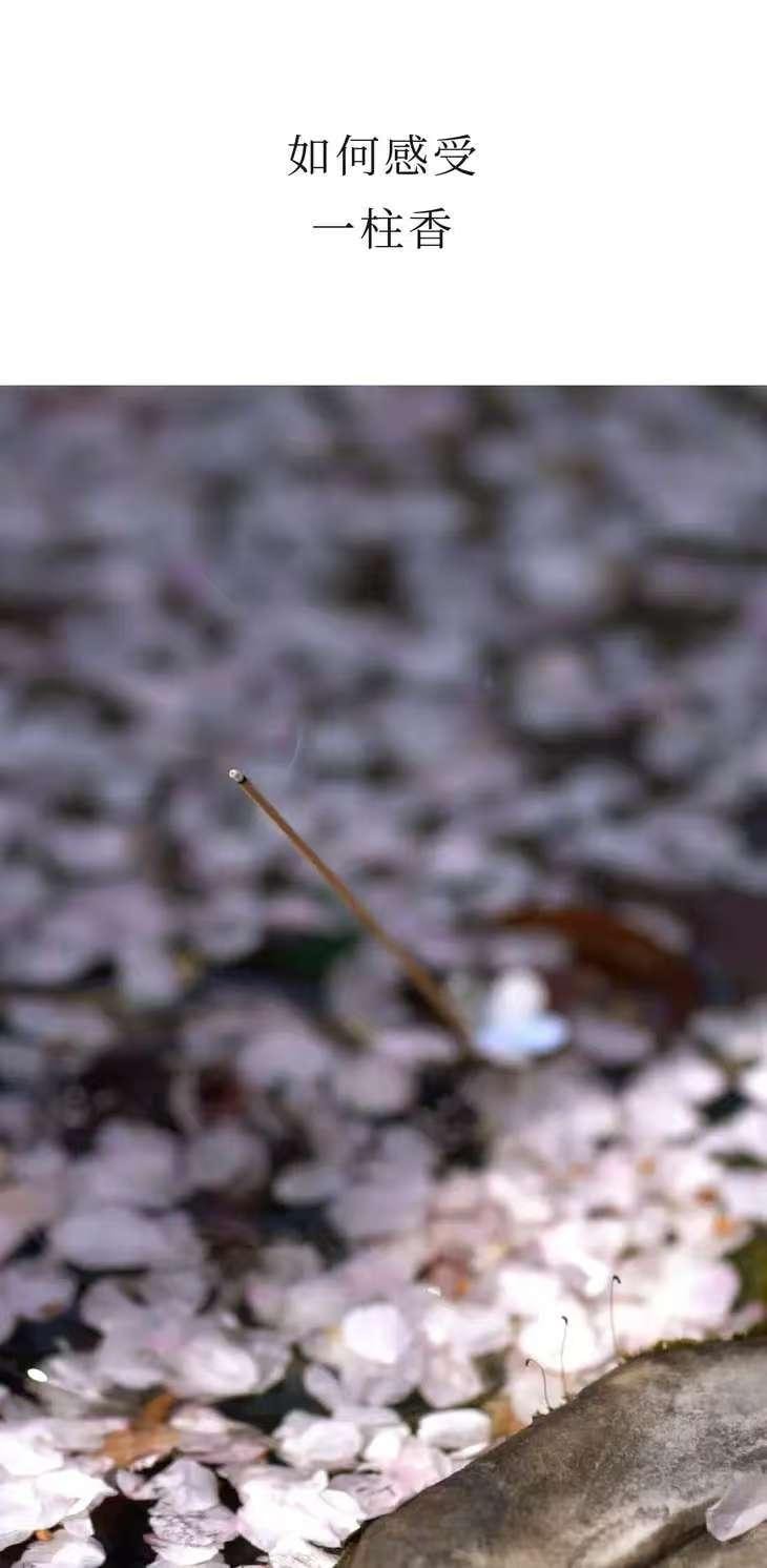 空山时 线香【木滋花香调】岩玫瑰和檀香的结合 25.5cm*30支入 附赠玉石香插*1