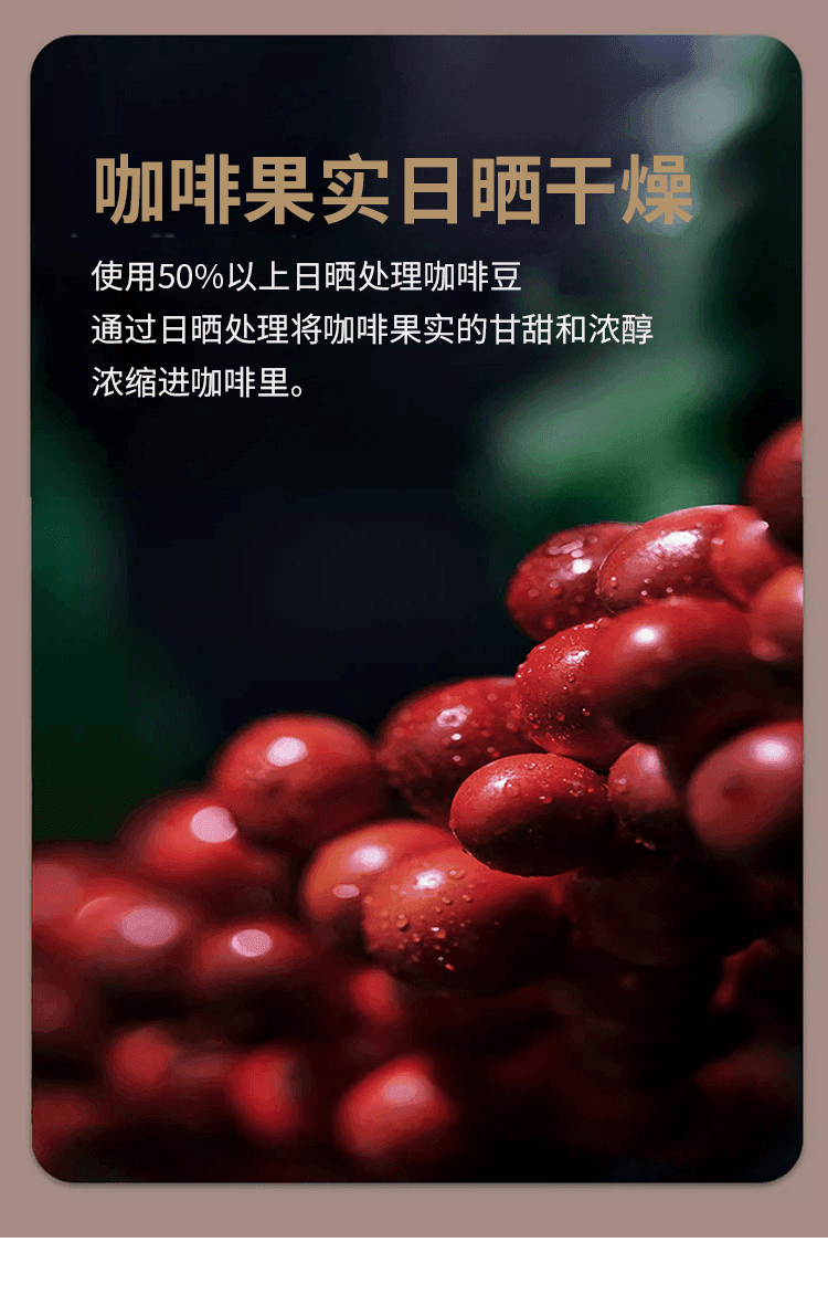 【贈品】【日本直郵】UCC 職人の咖啡 濃厚純黑咖啡 240g【特價賞味期25.5.1】