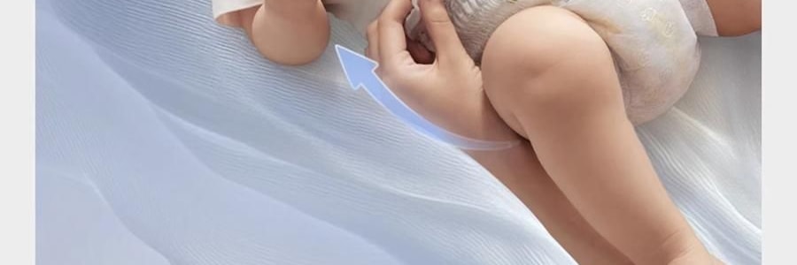 BC BABYCARE 拉拉褲 皇室獅子王國系列短褲式嬰兒紙尿褲 XXXXL碼 19KG以上 24片/包